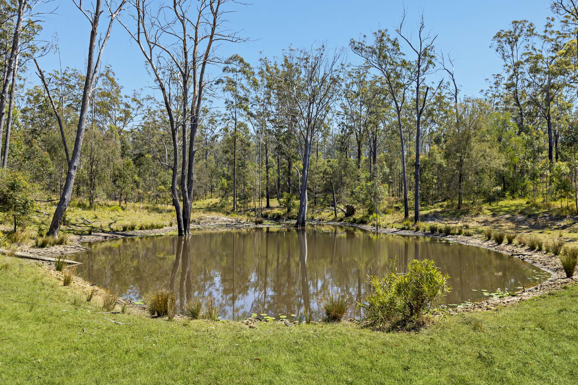 "Wombalinger" Kilcoy - Murgon Road, Kingaham For Sale by Farmbuy.com - image 19
