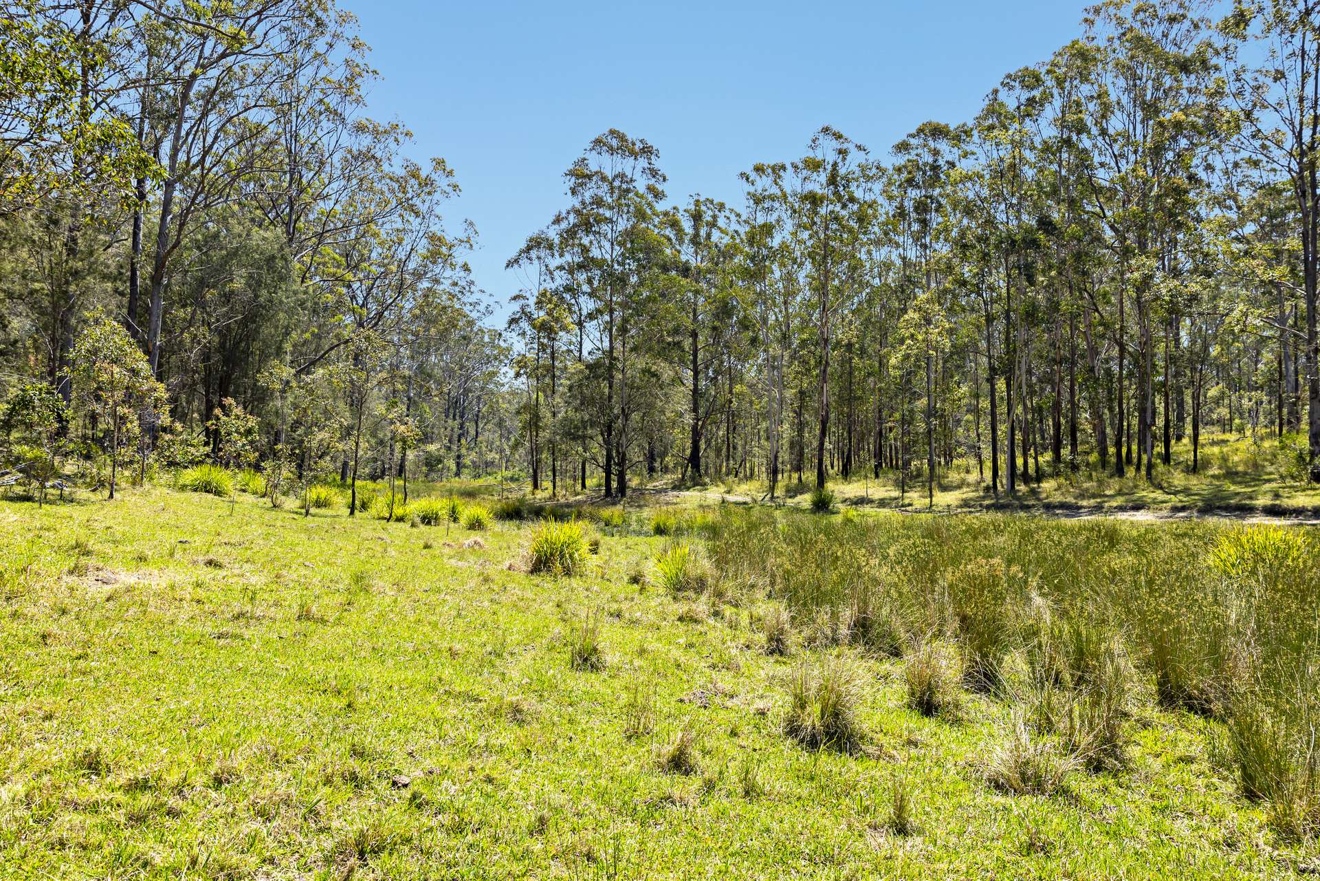 "Wombalinger" Kilcoy - Murgon Road, Kingaham For Sale by Farmbuy.com - image 18