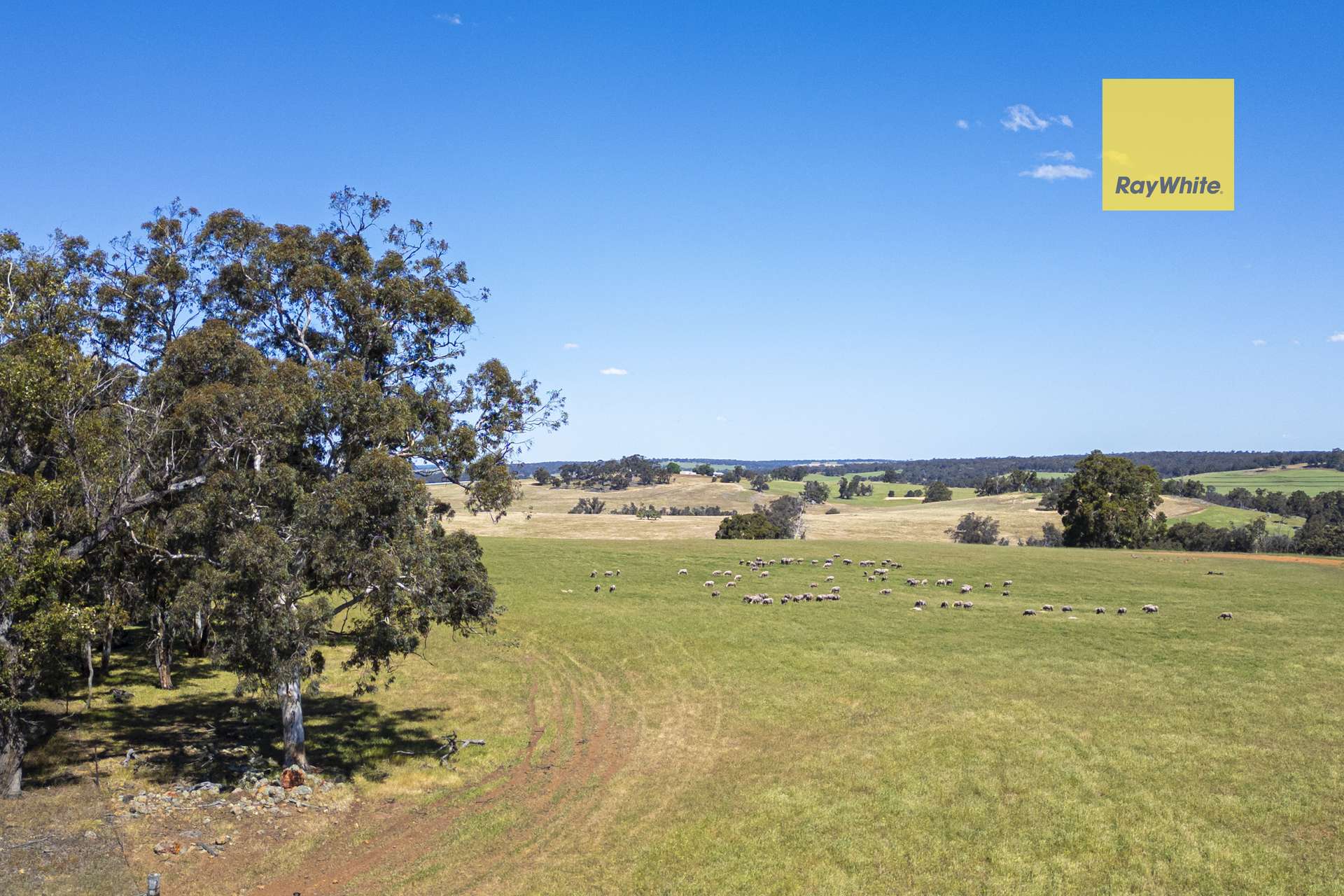 7 Maltrup Road, Dinninup For Sale by Farmbuy.com - image 5