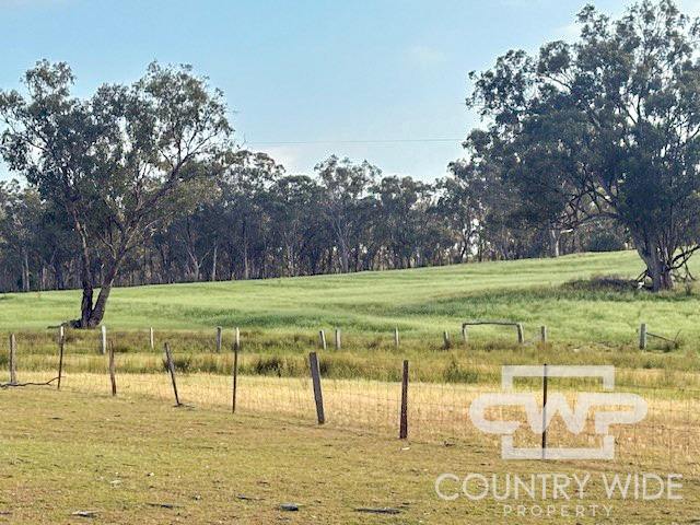 Lot 1, - Emmaville Rd, Emmaville For Sale by Farmbuy.com - image 2