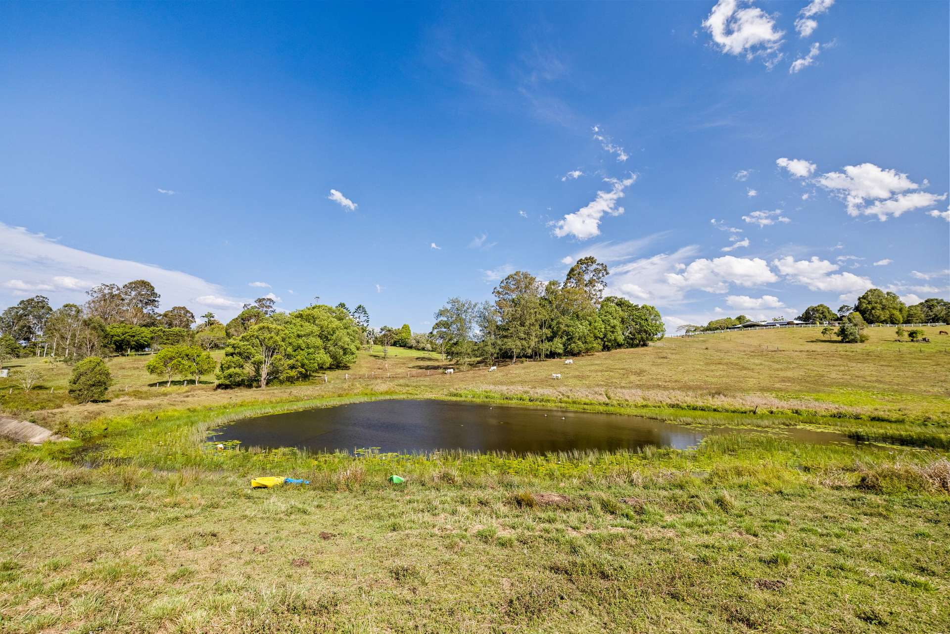 122 Cooroy Mountain Road, Cooroy For Sale by Farmbuy.com - image 10
