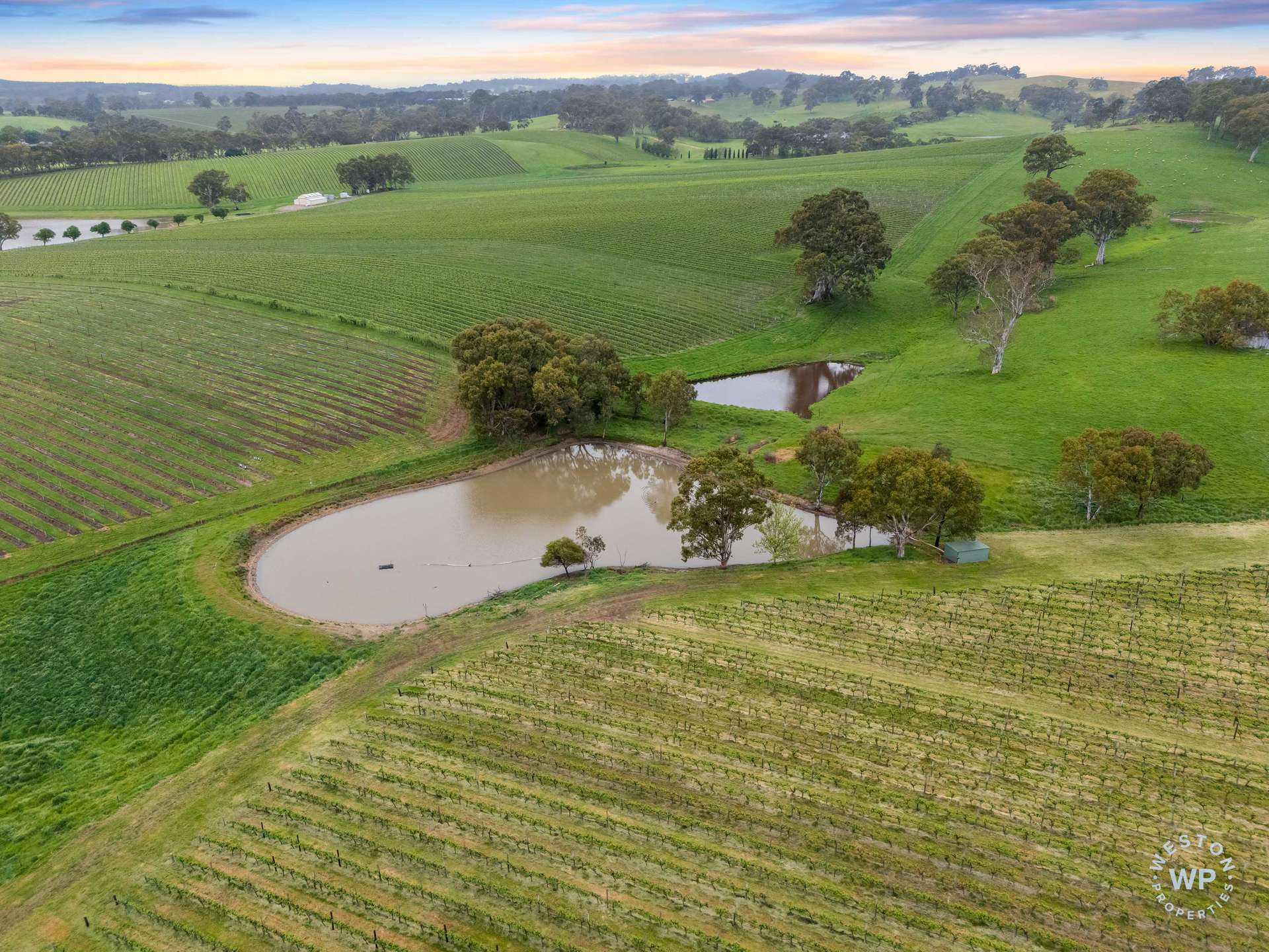 127 Quinns Road, Forreston For Sale by Farmbuy.com - image 30