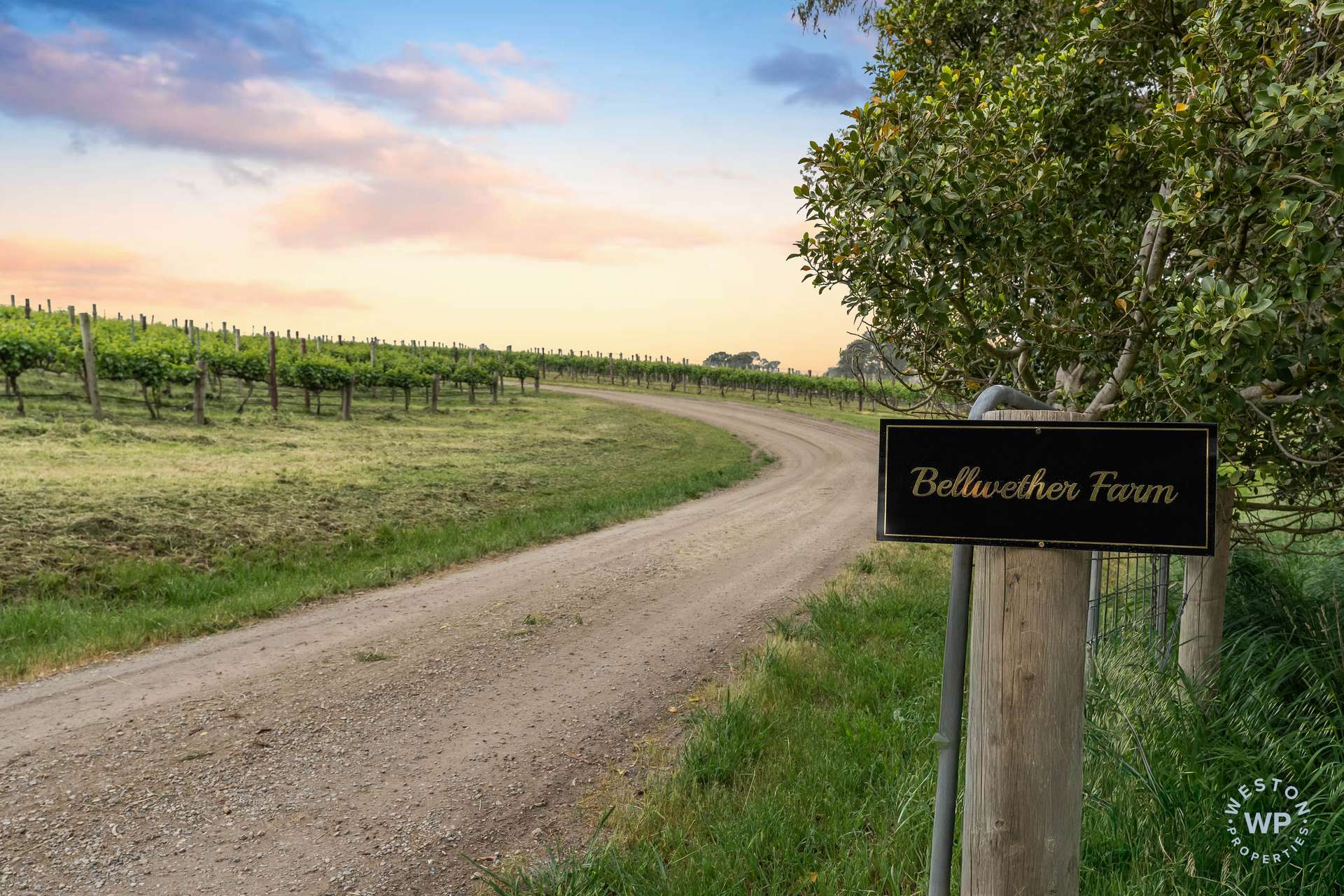 127 Quinns Road, Forreston For Sale by Farmbuy.com - image 6