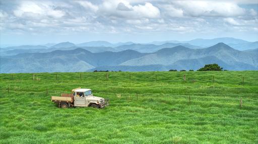 Farm Sold - NSW - Dorrigo - 2453 - A Place to Enjoy the Best of Dorrigo 