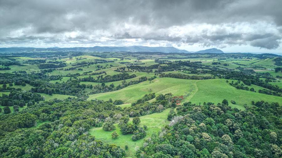 Dorrigo Sold by Farmbuy.com - image 25