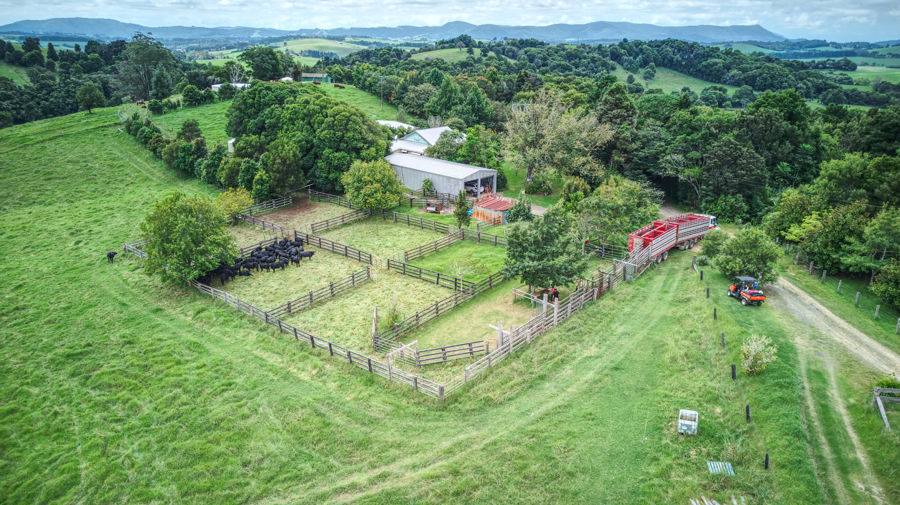 Dorrigo Sold by Farmbuy.com - image 8