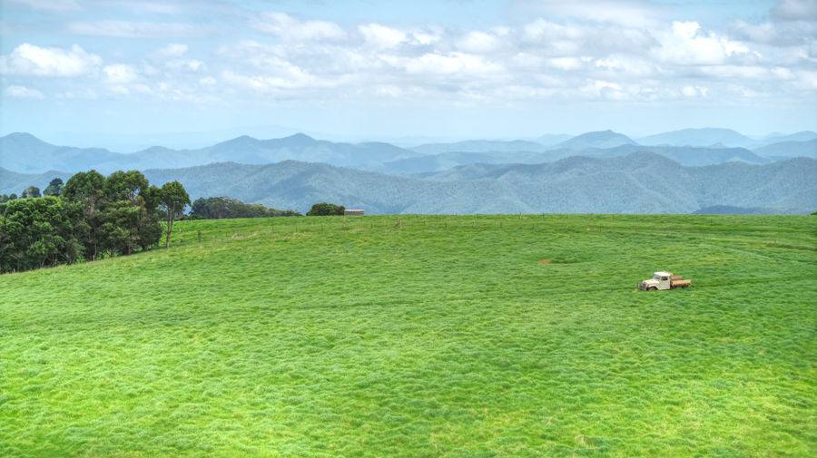 Dorrigo Sold by Farmbuy.com - image 20