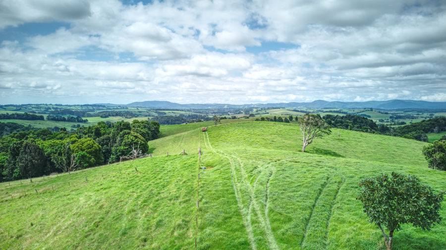 Dorrigo Sold by Farmbuy.com - image 21