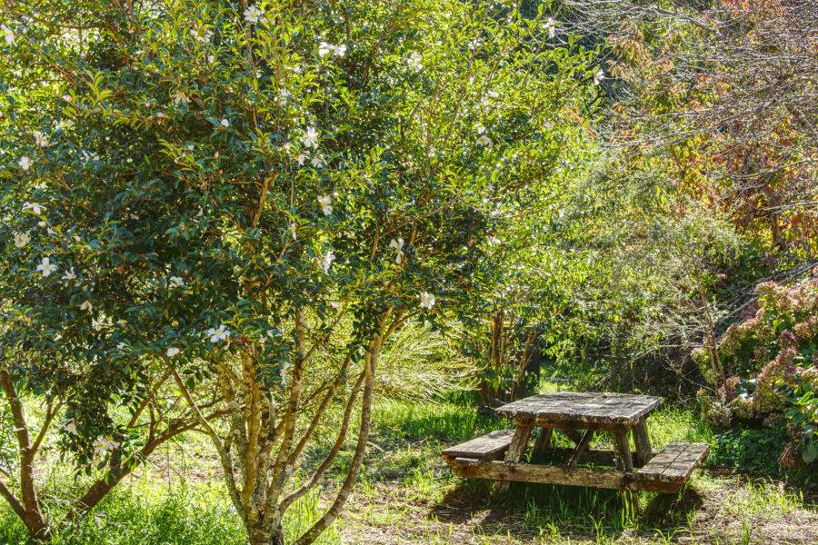 11-13 Cypress Street, Dorrigo Sold by Farmbuy.com - image 19