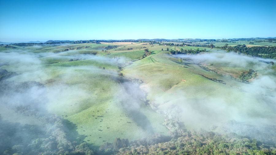 Dorrigo For Sale by Farmbuy.com - image 19