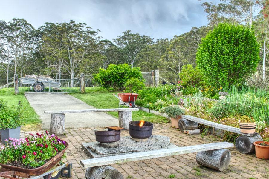 Dorrigo Sold by Farmbuy.com - image 3
