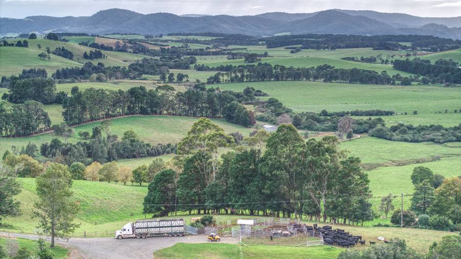 Dorrigo Sold by Farmbuy.com - image 30