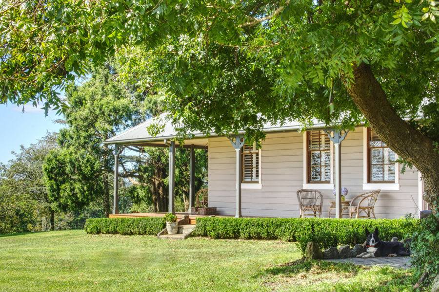 Dorrigo Sold by Farmbuy.com - image 2