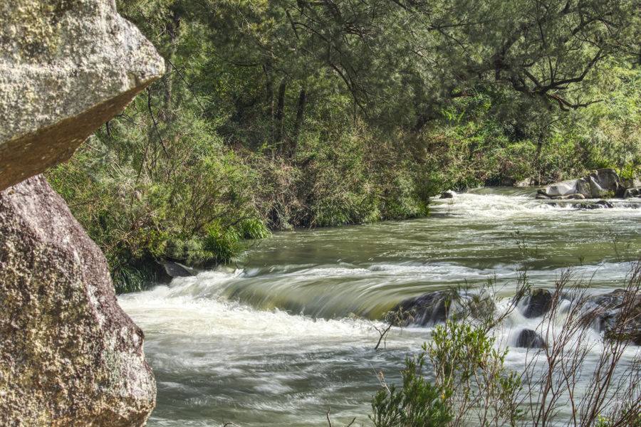Dorrigo For Sale by Farmbuy.com - image 10