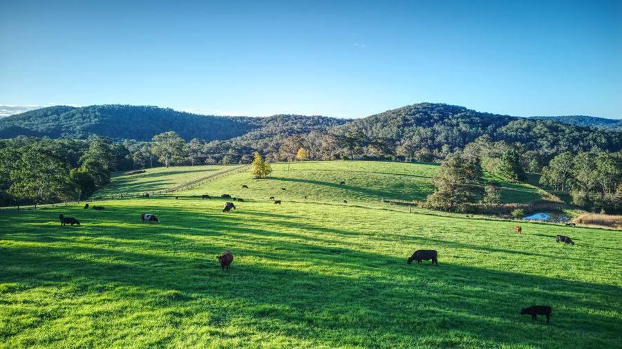 Dorrigo For Sale by Farmbuy.com - image 1