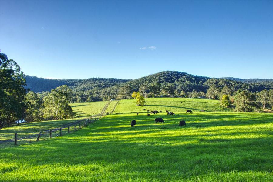 Dorrigo For Sale by Farmbuy.com - image 16