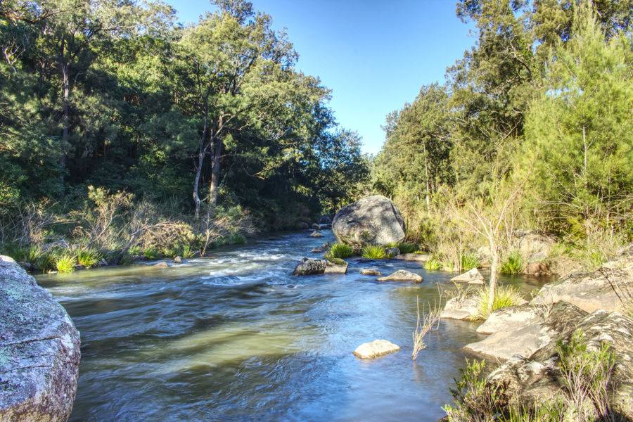 Dorrigo For Sale by Farmbuy.com - image 9