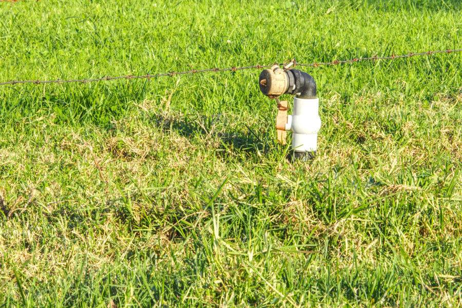 Dorrigo For Sale by Farmbuy.com - image 33