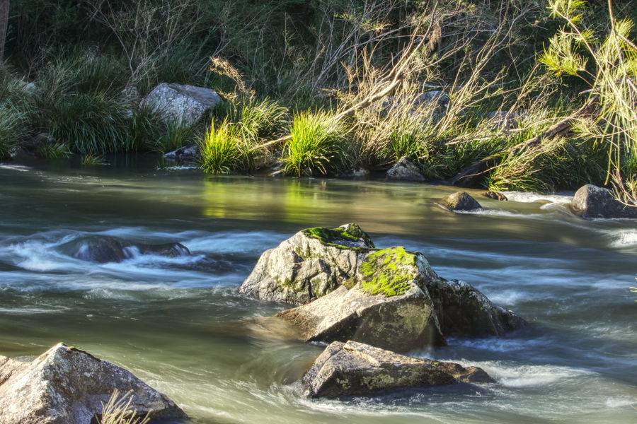 Dorrigo For Sale by Farmbuy.com - image 11