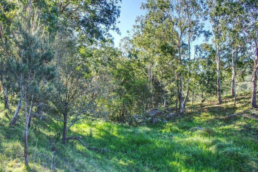 Dorrigo For Sale by Farmbuy.com - image 12