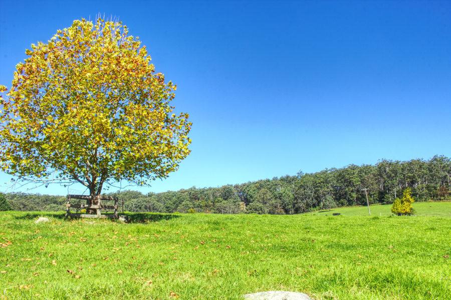 Dorrigo For Sale by Farmbuy.com - image 13