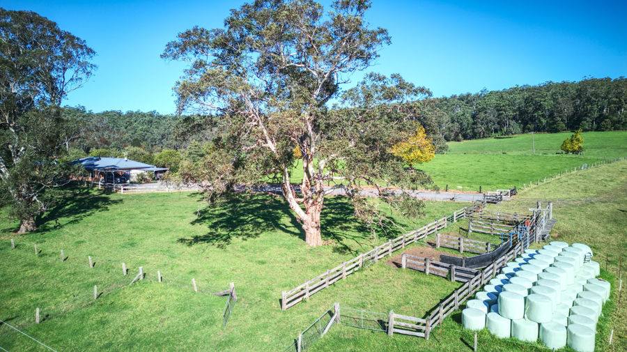Dorrigo For Sale by Farmbuy.com - image 2