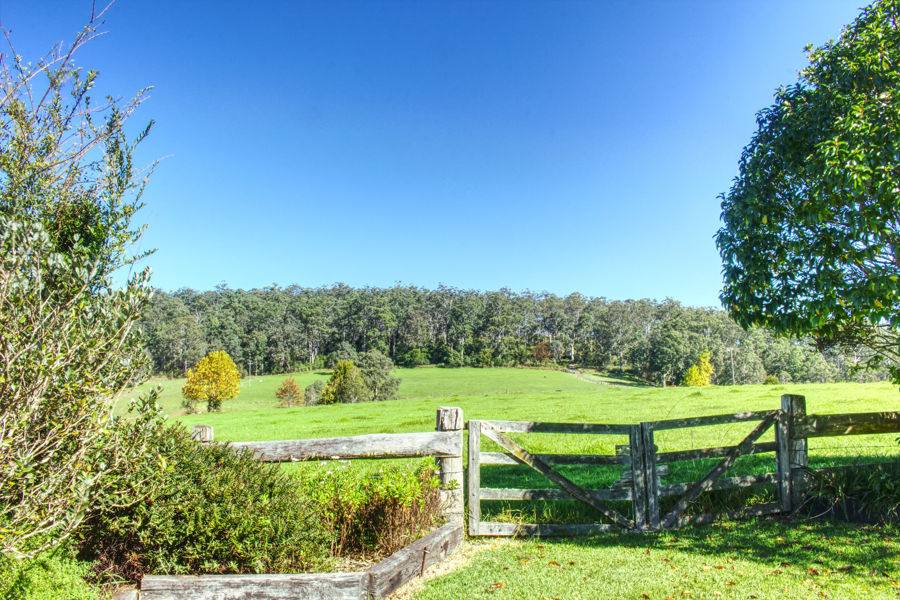 Dorrigo For Sale by Farmbuy.com - image 29