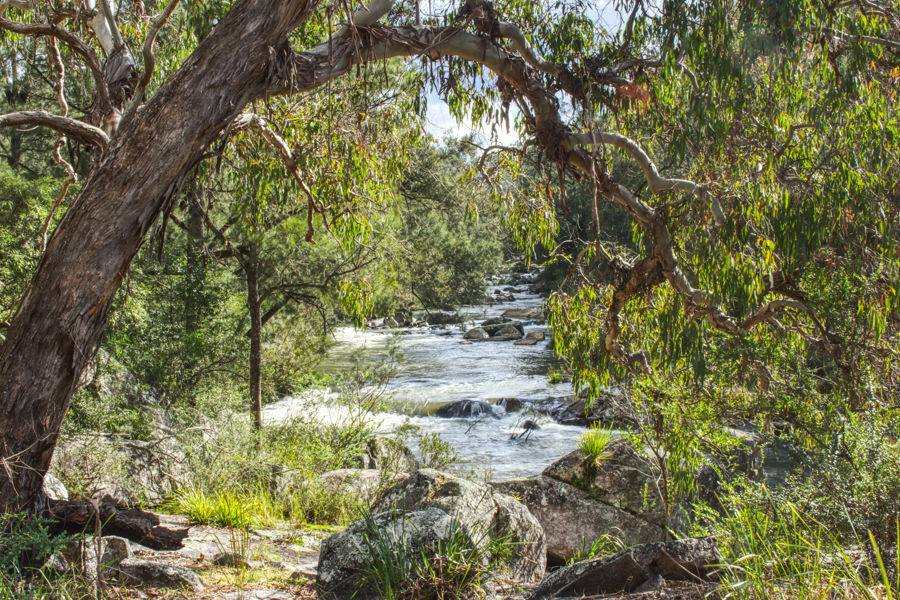 Dorrigo For Sale by Farmbuy.com - image 3