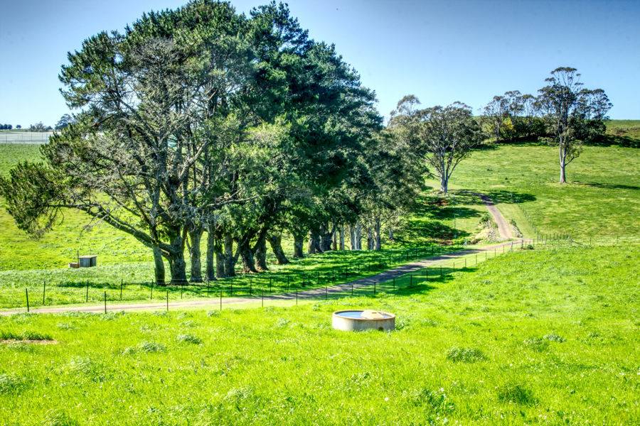 Dorrigo Sold by Farmbuy.com - image 8