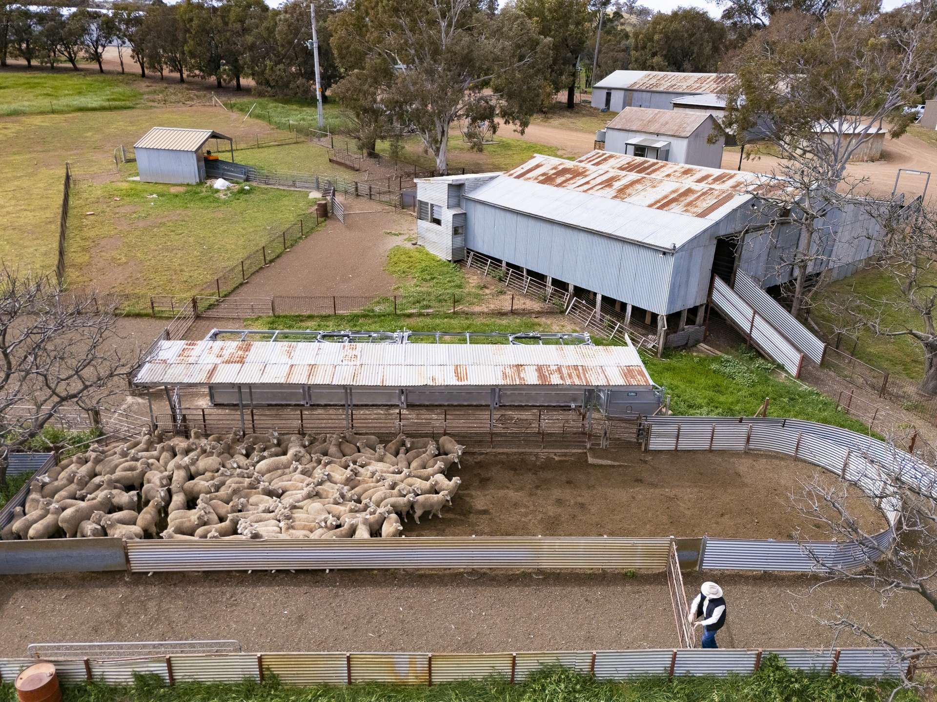 2056 Benalla-Yarrawona Road, Bungeet West For Sale by Farmbuy.com - image 26