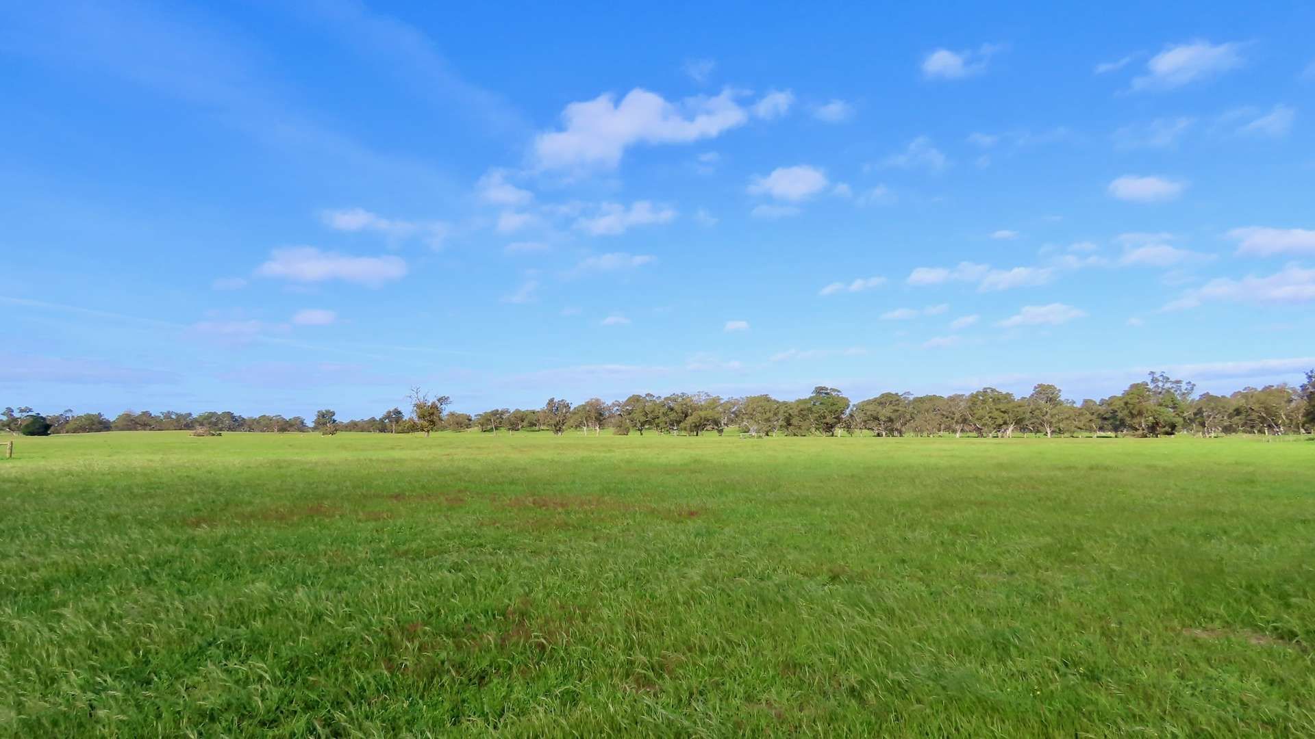 Lot 9 Mount Burr Road, Monbulla For Sale by Farmbuy.com - image 15