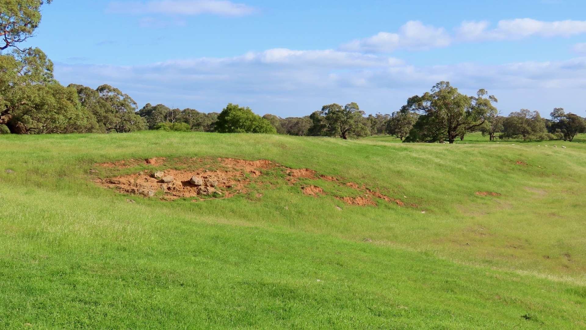 Lot 9 Mount Burr Road, Monbulla For Sale by Farmbuy.com - image 12