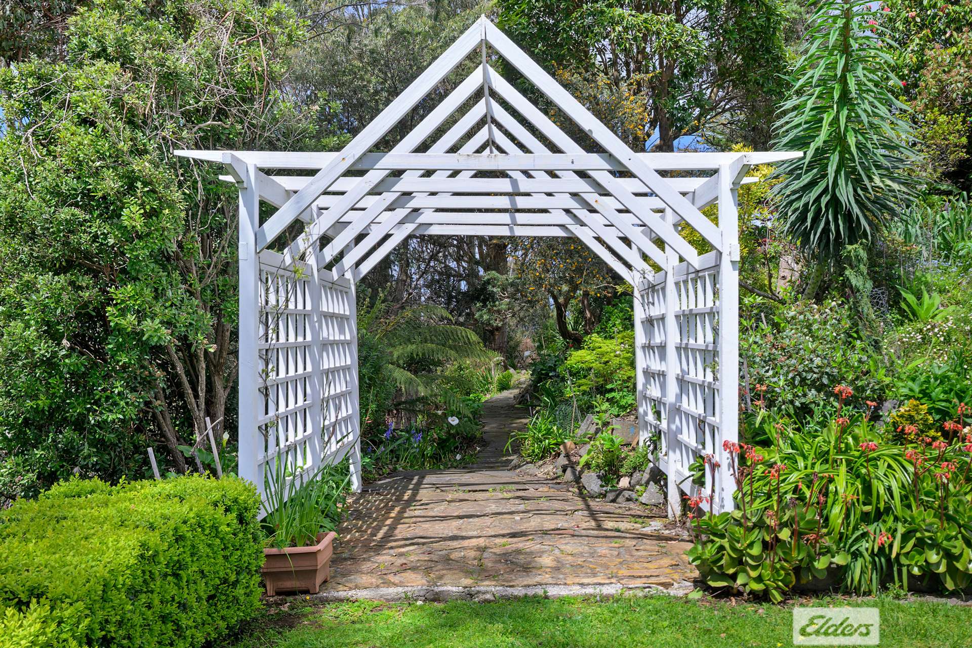 61 Old Mount Hicks Road, Mount Hicks For Sale by Farmbuy.com - image 17