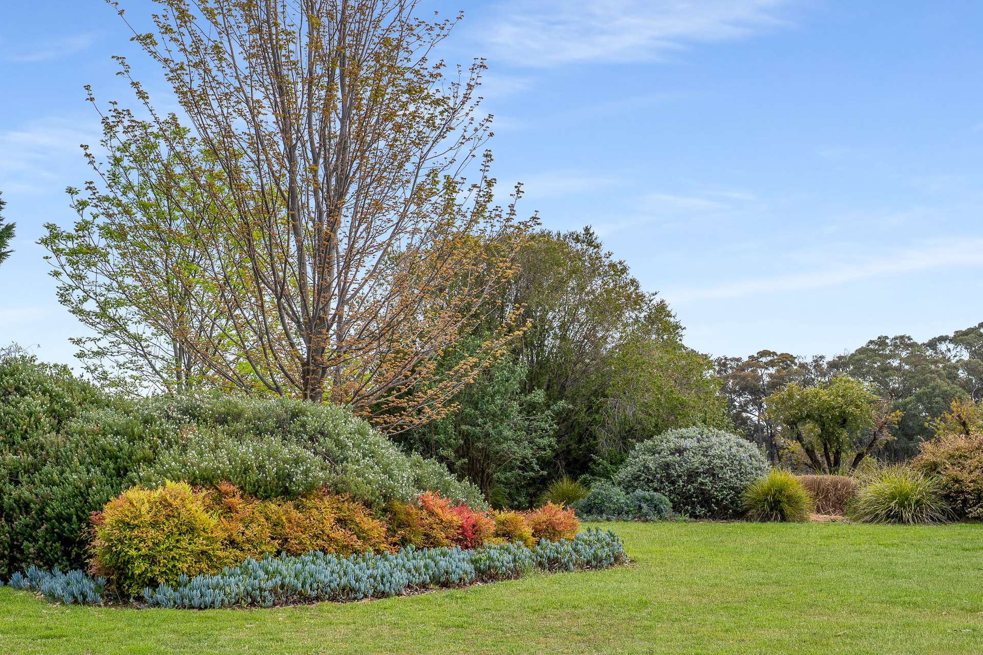 38 Greening Lane, Orange For Sale by Farmbuy.com - image 15