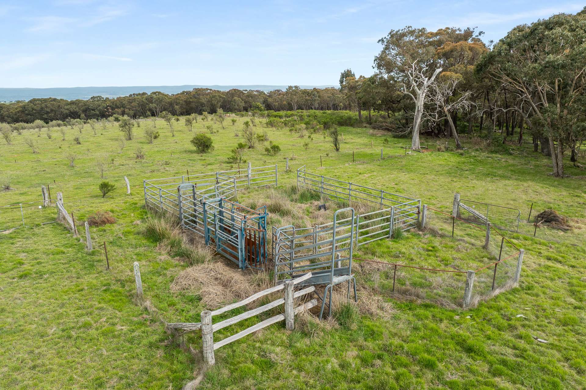 38 Greening Lane, Orange For Sale by Farmbuy.com - image 12