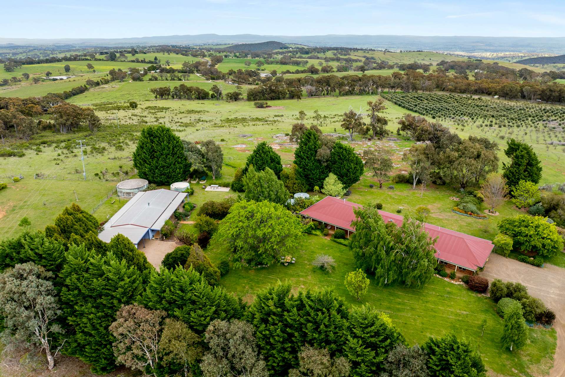 38 Greening Lane, Orange For Sale by Farmbuy.com - image 15