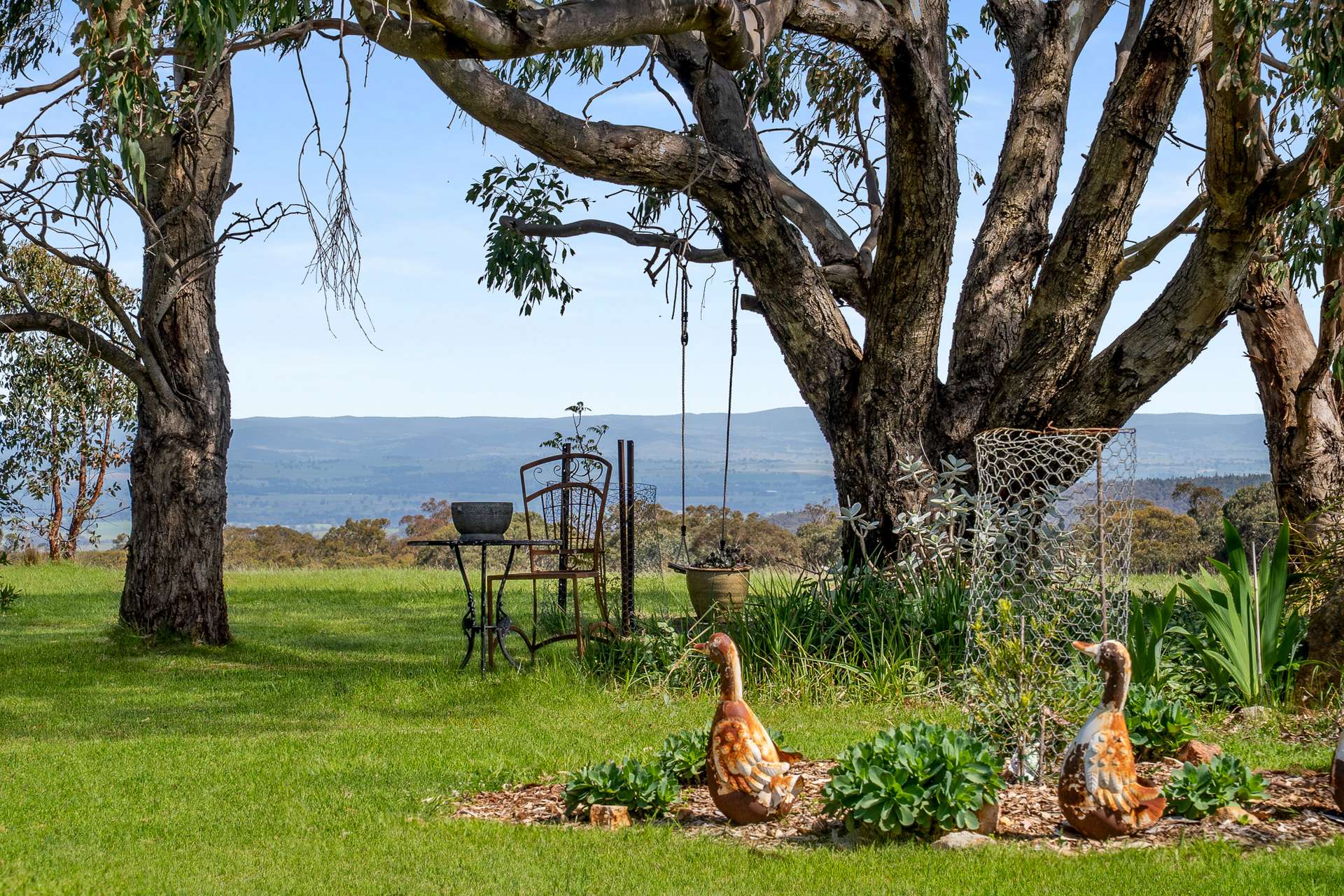 38 Greening Lane, Orange For Sale by Farmbuy.com - image 3