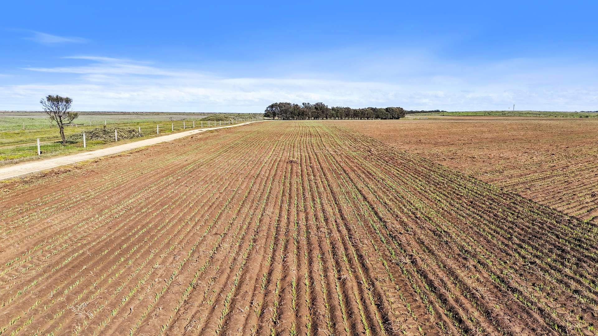 Lot 1 Tolderol Road, Langhorne Creek For Sale by Farmbuy.com - image 4