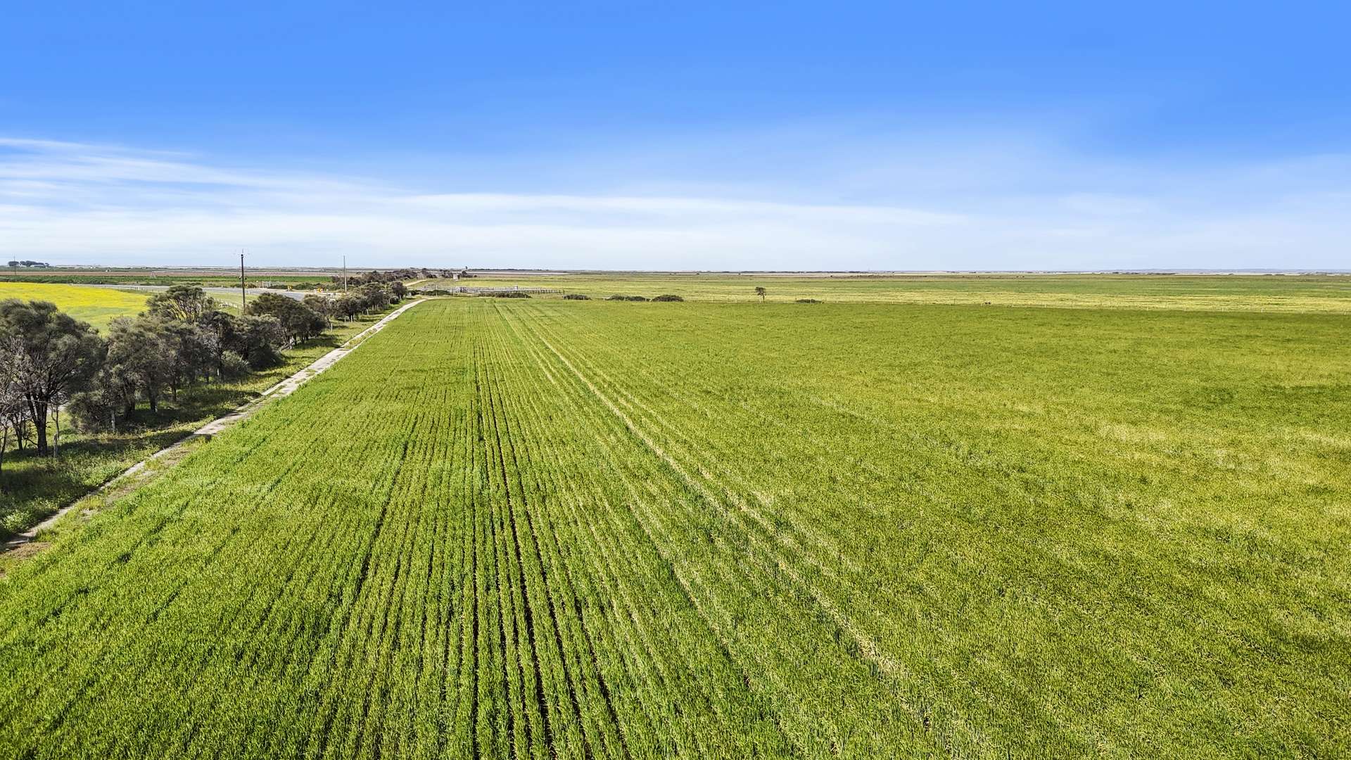 Lot 1 Tolderol Road, Langhorne Creek For Sale by Farmbuy.com - image 14