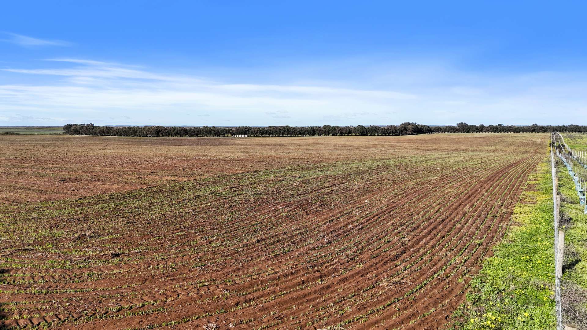 Lot 1 Tolderol Road, Langhorne Creek For Sale by Farmbuy.com - image 7