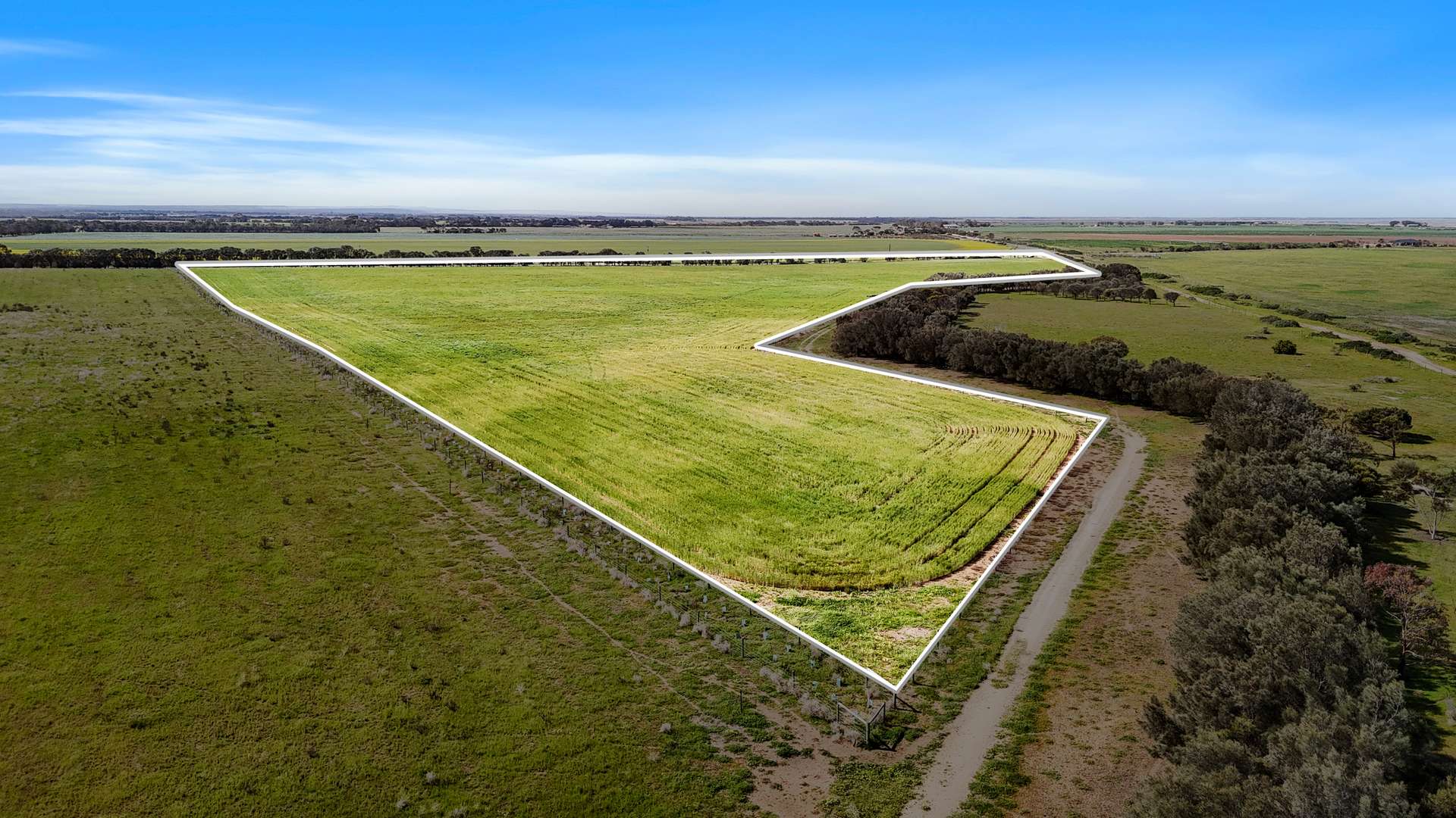 Lot 1 Tolderol Road, Langhorne Creek For Sale by Farmbuy.com - image 7