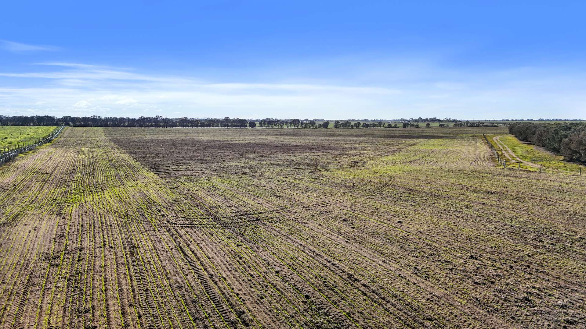 Lot 1 Tolderol Road, Langhorne Creek For Sale by Farmbuy.com - image 10