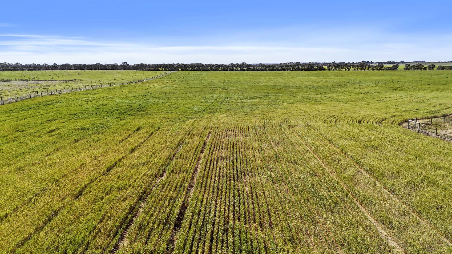 Lot 1 Tolderol Road, Langhorne Creek For Sale by Farmbuy.com - image 15