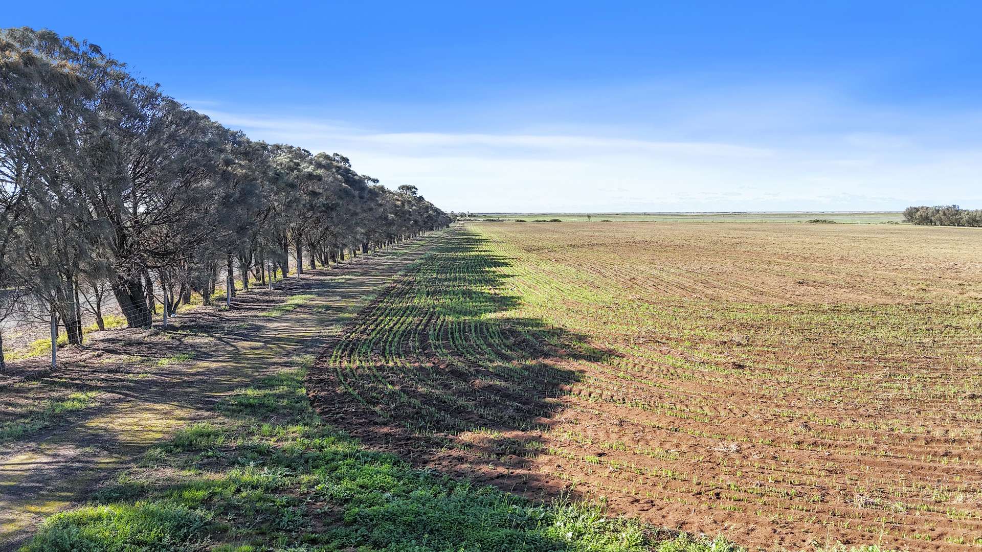 Lot 1 Tolderol Road, Langhorne Creek For Sale by Farmbuy.com - image 8