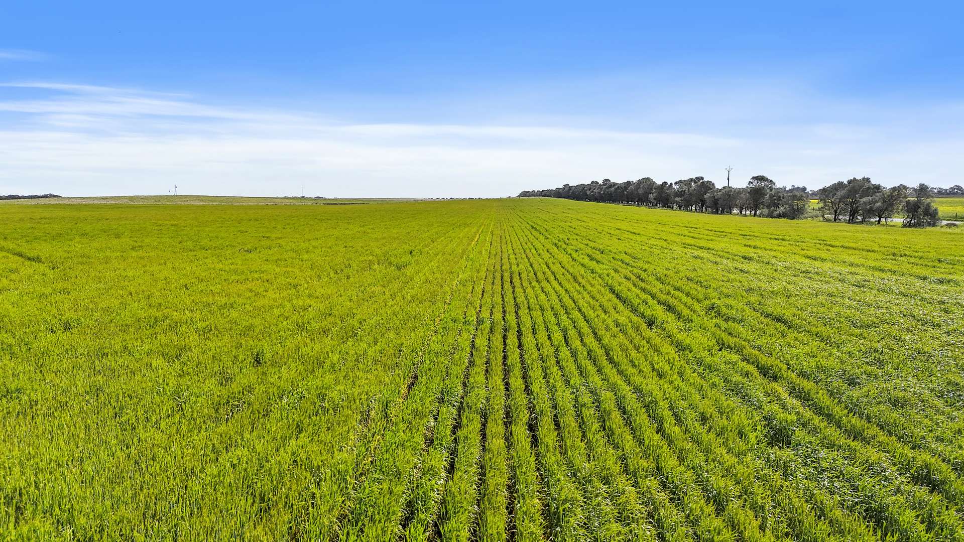 Lot 1 Tolderol Road, Langhorne Creek For Sale by Farmbuy.com - image 2