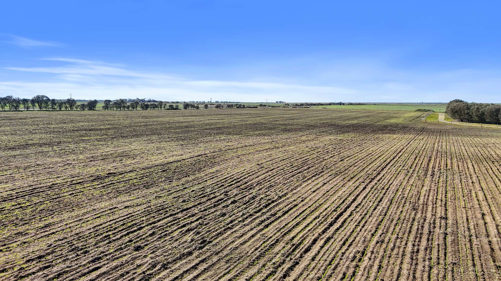 Lot 1 Tolderol Road, Langhorne Creek For Sale by Farmbuy.com - image 11
