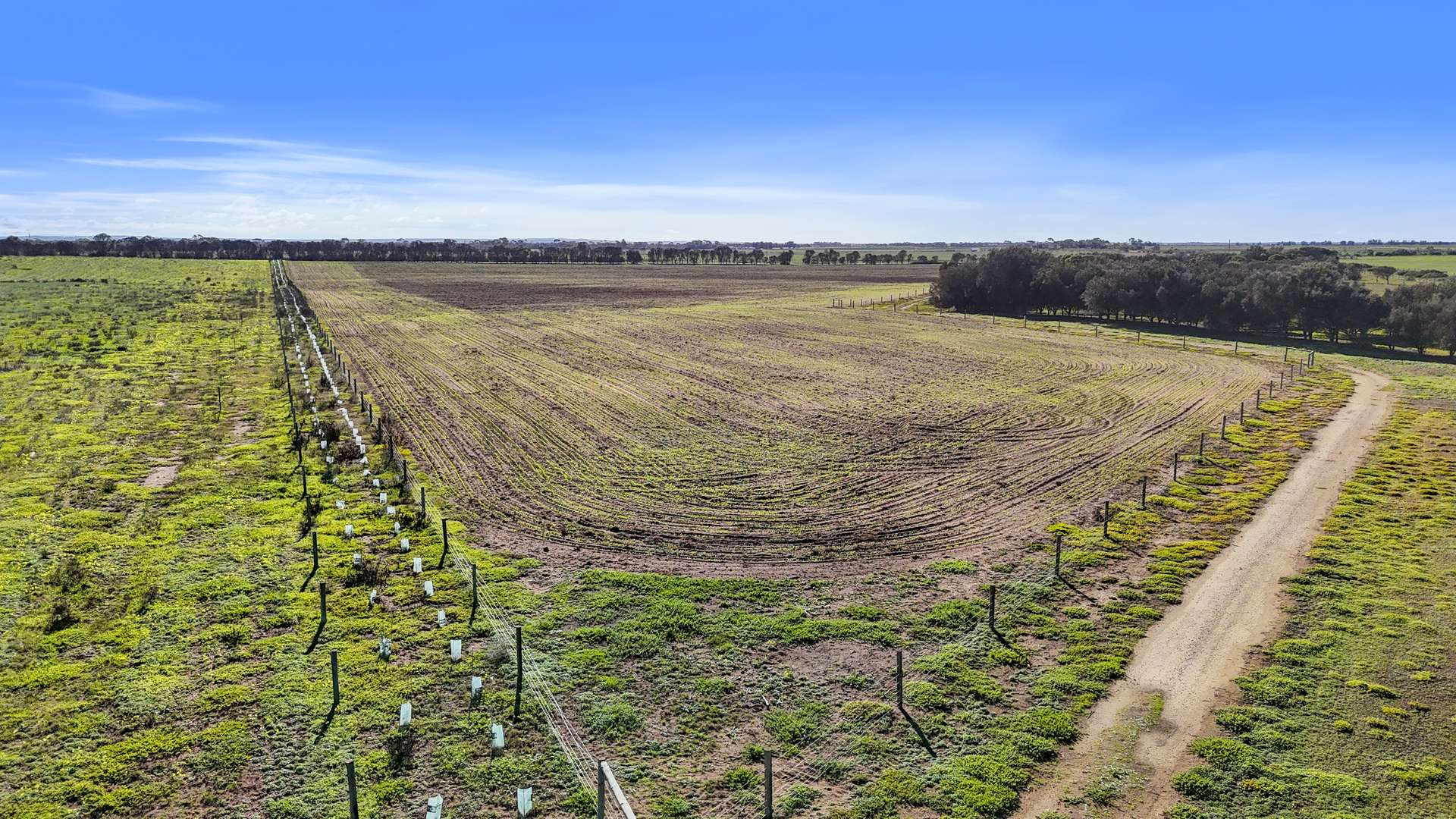 Lot 1 Tolderol Road, Langhorne Creek For Sale by Farmbuy.com - image 9