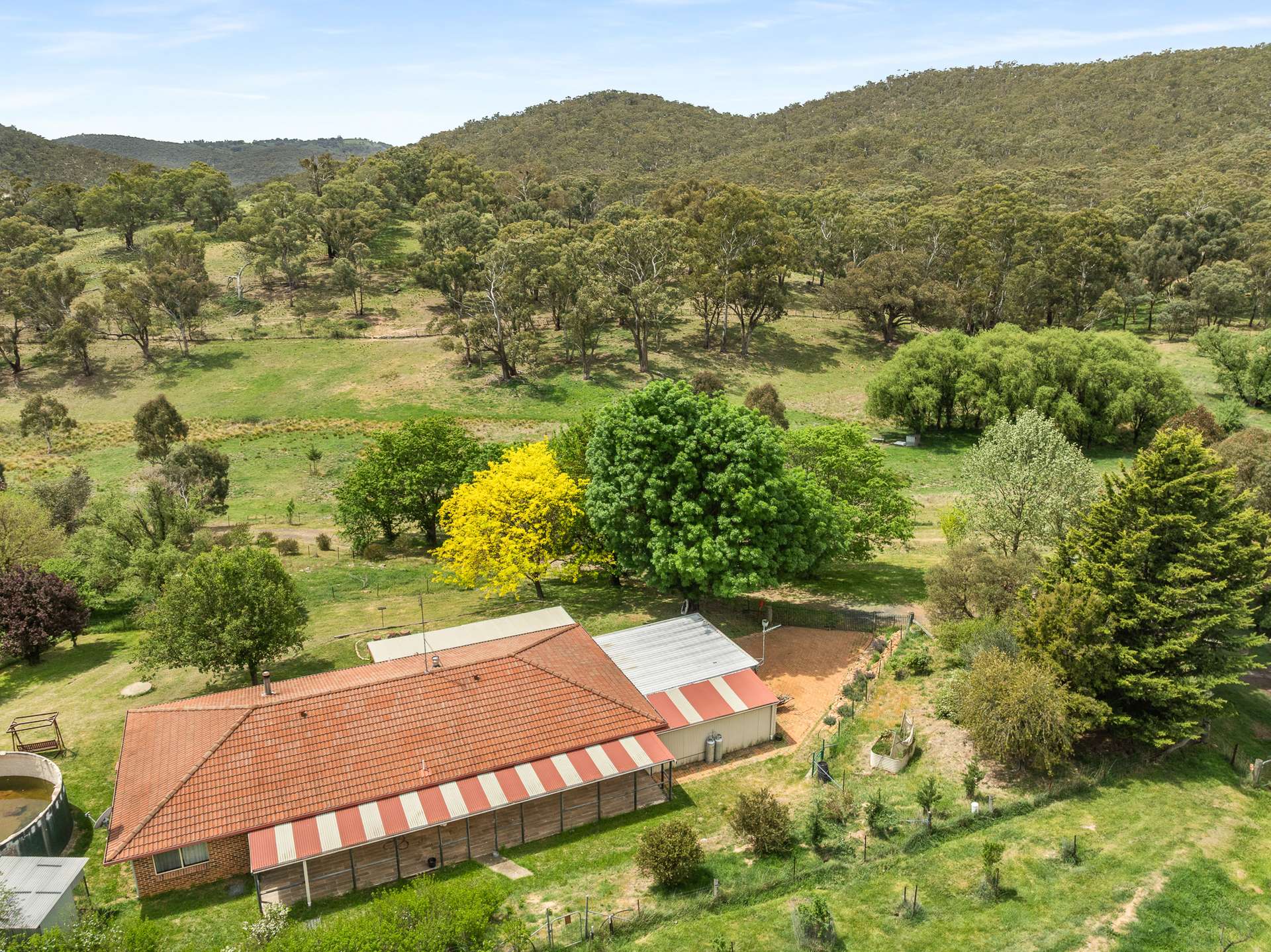 2716 Beaconsfield Road, Wisemans Creek Sold by Farmbuy.com - image 23