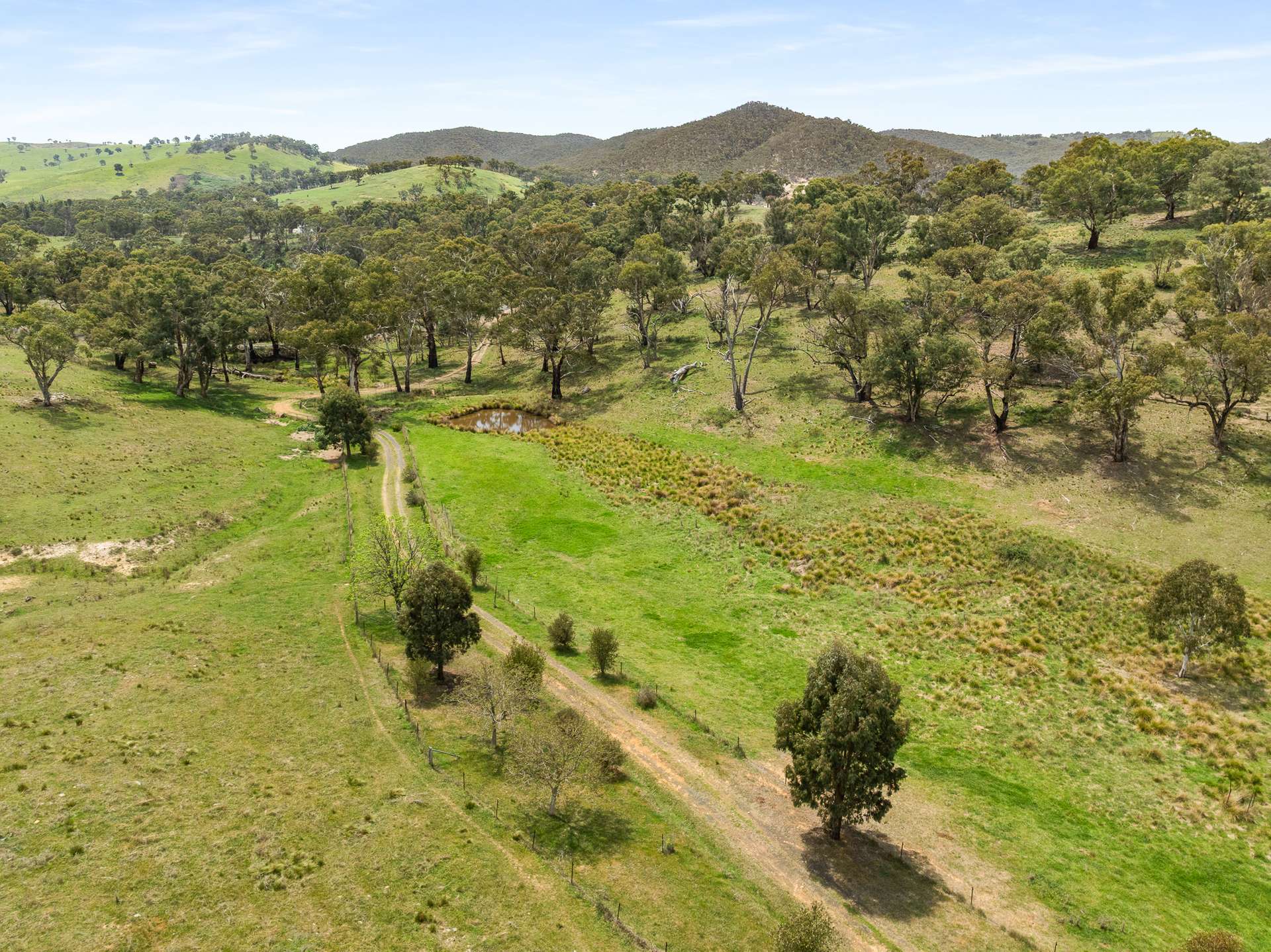 2716 Beaconsfield Road, Wisemans Creek Sold by Farmbuy.com - image 30