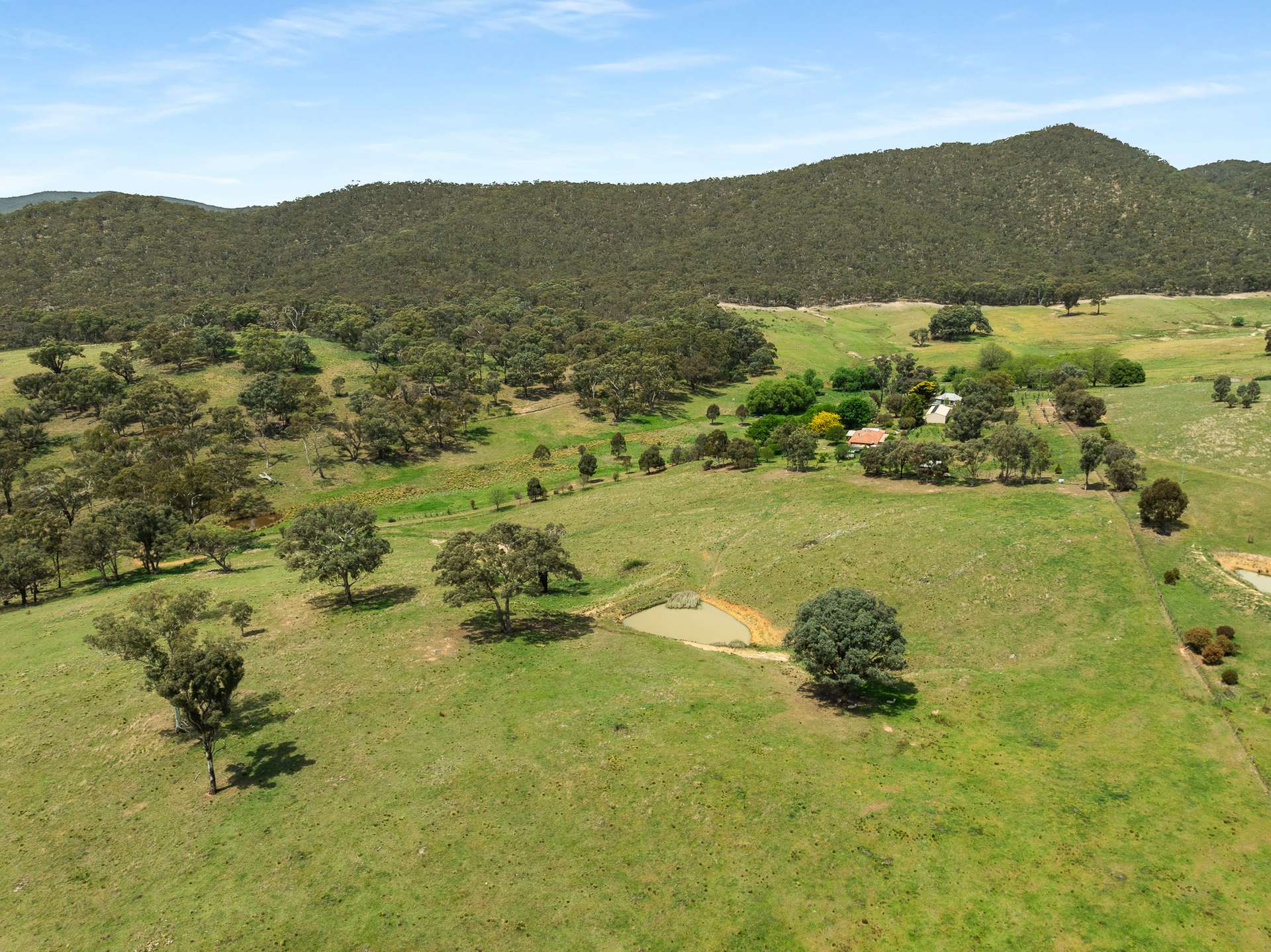 2716 Beaconsfield Road, Wisemans Creek Sold by Farmbuy.com - image 1